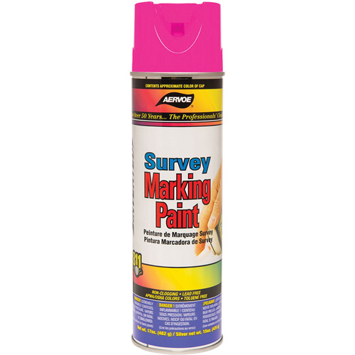 Solvent-Based Marking Paint, 17 oz., Aerosol Can NTL Industrial