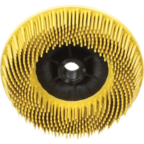 Disques radiaux bristle pour meuleuses angulaires Scotch-Brite, C&eacute;ramique, Grain 80, 4-1/2" dia. NTL Industrial
