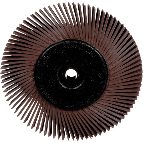 Brosses radiales bristle pour meuleuses d'&eacute;tabli, Grain 36X, 6" dia. NTL Industrial