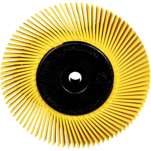 Brosses radiales bristle pour meuleuses d'&eacute;tabli, Grain 80X, 6" dia. NTL Industrial