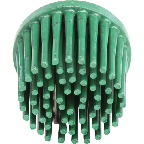 Disques bristle Roloc, Grain 120, 1" dia. NTL Industrial