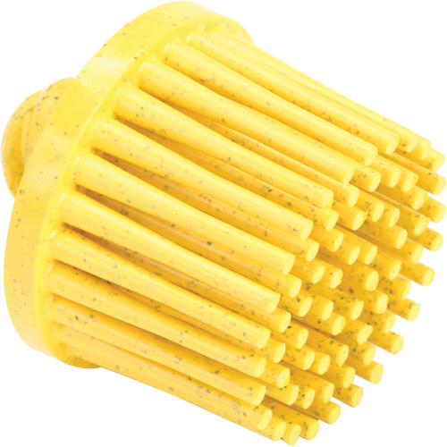 Disques bristle Roloc, Grain 80, 1" dia. NTL Industrial