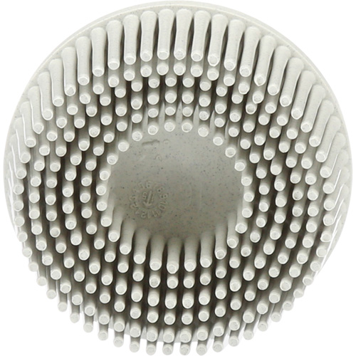 Scotch-Brite Roloc Bristle Discs, 120 Grit, 2" Dia. NTL Industrial