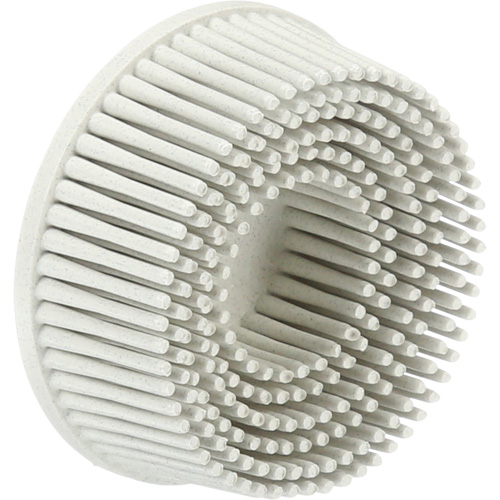 Scotch-Brite Roloc Bristle Discs, 120 Grit, 2" Dia. NTL Industrial