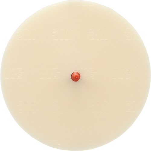 Disque Scotch-Brite 7502 pour retrait de colle et de bandes de moulage, 6" dia. NTL Industrial