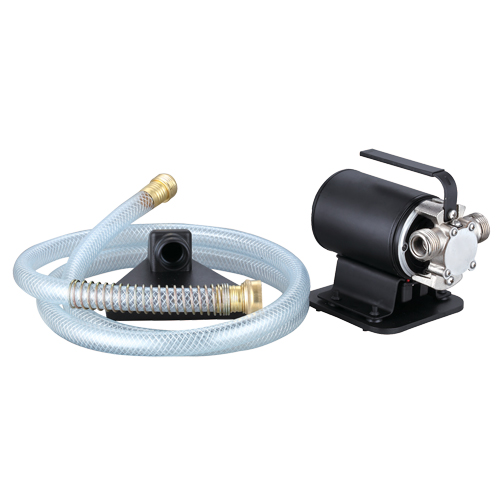 Portable Transfer Pump, 115 V, 264 GPH, 1/10 HP NTL Industrial