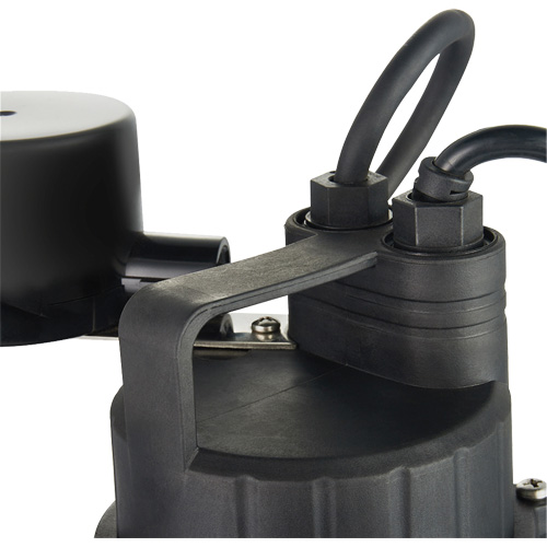 Thermoplastic Submersible Sump Pump, 2560 GPH, 115 V, 4.6 A, 1/3 HP NTL Industrial