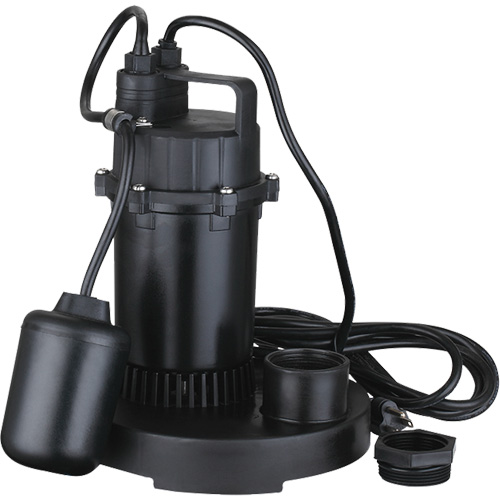 Pompe de puisard submersible thermoplastique, 2560 gal./h, 115 V, 4,6 A, 1/3 CV NTL Industrial
