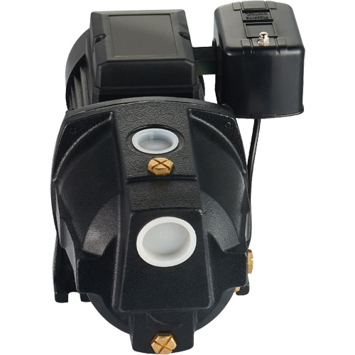 Pompe &agrave; jet en fonte &agrave; double tension pour puit peu profond, 115 V/230 V, 1100 gal./h, 1 CV NTL Industrial