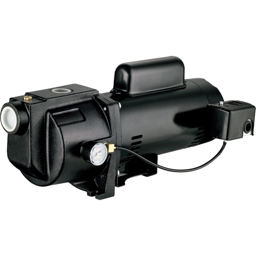 Pompe &agrave; jet en fonte &agrave; double tension pour puit peu profond, 115 V/230 V, 1260 gal./h, 1 CV NTL Industrial