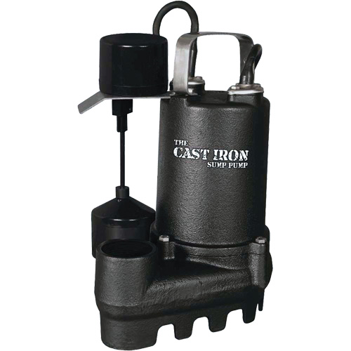 Pompe de puisard submersible en fonte avec interrupteur &agrave; flotteur vertical, 67 gal./min, 33 V, 5 A, 1/3 CV NTL Industrial