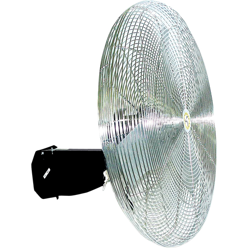 Oscillating Wall fan, Industrial, 3 Speed, 30" Diameter NTL Industrial