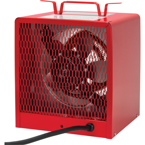 Radiateur, Entrepreneur, &eacute;lectrique, 16 380 BTU/H NTL Industrial