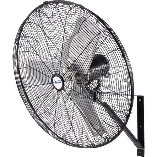 Waterproof Motor Misting & Oscillating Pedestal Fan, Industrial, 30" Dia., 3 Speeds NTL Industrial