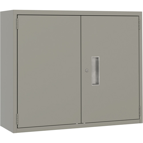 Armoire murale, Acier, 2 Tablettes, 30" h x 36" la x 12" P, Gris NTL Industrial