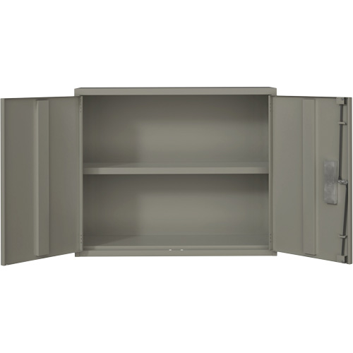 Armoire murale, Acier, 2 Tablettes, 30" h x 36" la x 12" P, Gris NTL Industrial