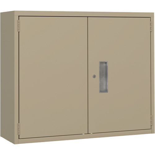 Armoire murale, Acier, 2 Tablettes, 30" h x 36" la x 12" P, Beige NTL Industrial