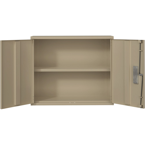 Armoire murale, Acier, 2 Tablettes, 30" h x 36" la x 12" P, Beige NTL Industrial