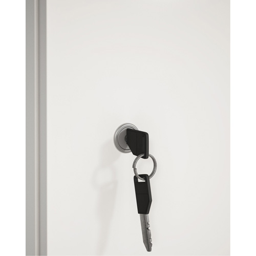Cabinet Lock & Keys NTL Industrial