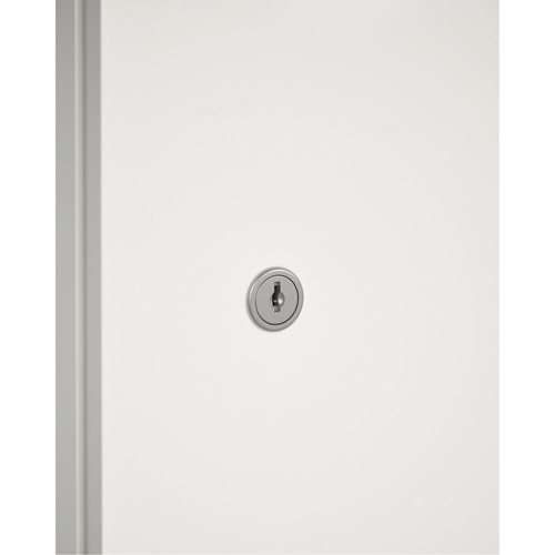 Cabinet Lock & Keys NTL Industrial
