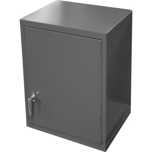 Wall-Mounted Cabinet, 27" H x 13-11/16" W x 18" D, 2 Shelves, Steel, Grey NTL Industrial
