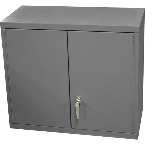 Wall-Mounted Cabinet, 27" H x 13-11/16" W x 35-7/8" D, 2 Shelves, Steel, Grey NTL Industrial