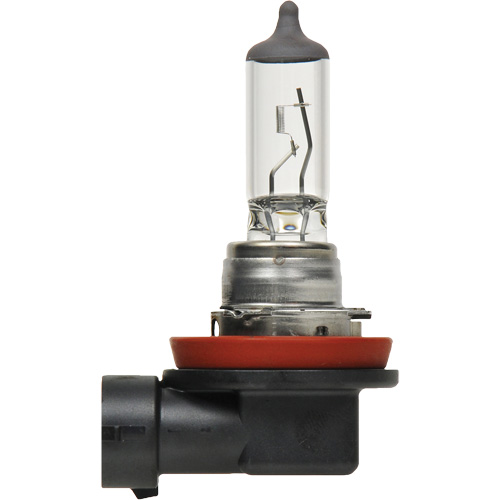 H8 Basic Headlight Bulb, Halogen, 35 W, Off White NTL Industrial