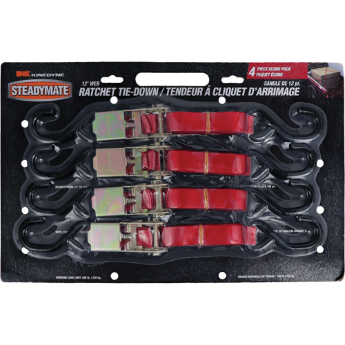 Ratchet Utility Straps, S-Hook, 1" W x 12' L, 500 lbs. (230 kg) Working Load Limit NTL Industrial
