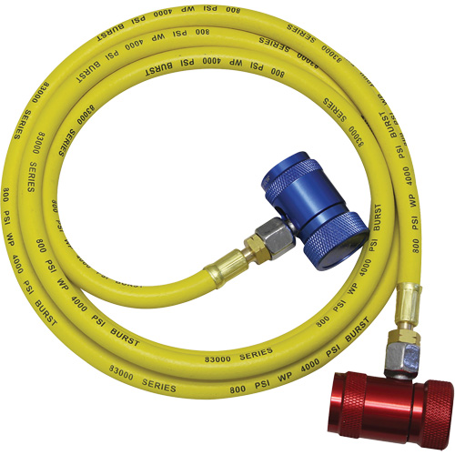 Ensemble flexible de rinçage pour syst&egrave;me de climatisation R1234yf NTL Industrial