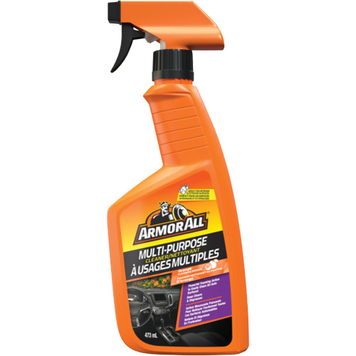 Nettoyant automobile tout usage, 16 oz/473 ml, Bouteille &agrave; g&acirc;chette NTL Industrial