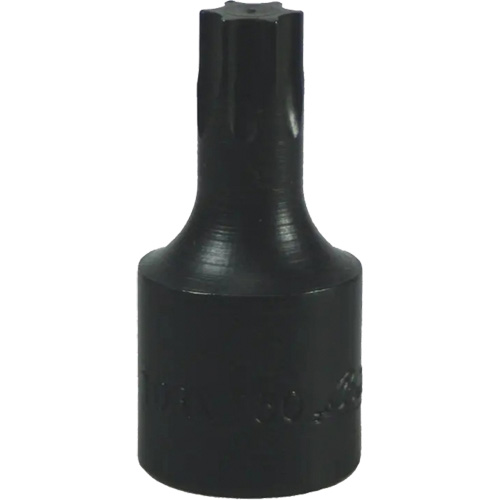 Embout Torx&reg; T-50 NTL Industrial