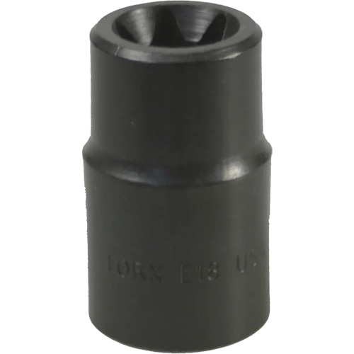 Douille Torx&reg; E-18 NTL Industrial