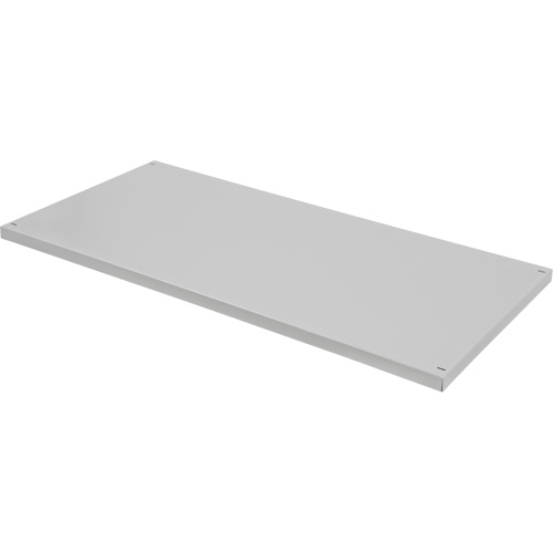 Replacement Shelf for Knocked Down Cabinet, 30" x 15", 100 lbs. Capacity, Steel, Grey NTL Industrial