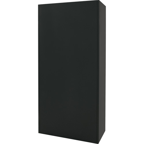 Armoire de rangement combin&eacute;e, 36" la x 18" p x 72" h, Noir NTL Industrial