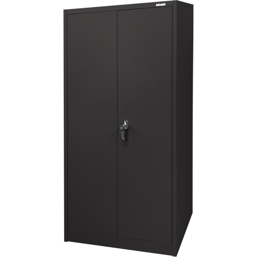 Armoire d'entreposage, Acier, 4 Tablettes, 66" h x 30" la x 15" P, Noir NTL Industrial
