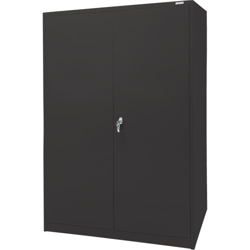 Storage Cabinet, Steel, 4 Shelves, 78" H x 48" W x 24" D, Black NTL Industrial