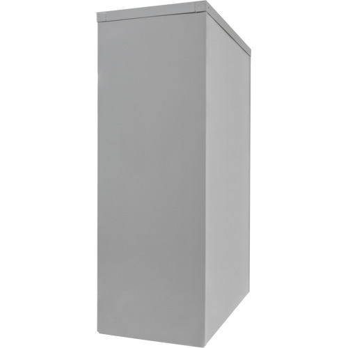 Armoire de rangement &agrave; hauteur de comptoir, Acier, 2 Tablettes, 42" h x 48" la x 24" P, Gris NTL Industrial