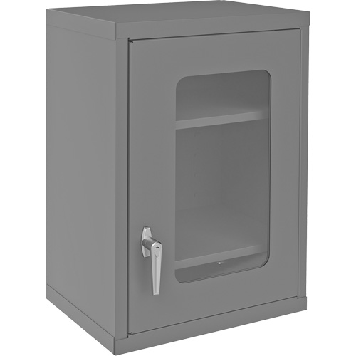 Wall-Mountable Storage Cabinet with Clearview Doors, 26-15/16" H x 18-1/8" W x 13-11/16" D, 2 Shelves, Steel, Grey NTL Industrial