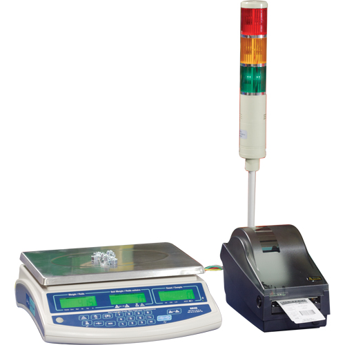 Balance pour compter Abacus AB30, Capacit&eacute; 60 lb / 30 kg, Graduations 0,001 lb / 0,5 g NTL Industrial