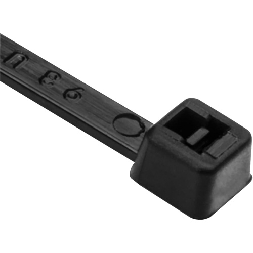 Attaches de c&acirc;ble PA66, Longueur 8", R&eacute;sistance &agrave; la traction 50 lb, Noir NTL Industrial
