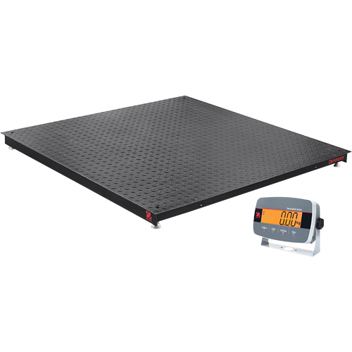 DEFENDER 3000 Floor Scale, 2500 lbs. Capacity, 36" W x 36" L NTL Industrial