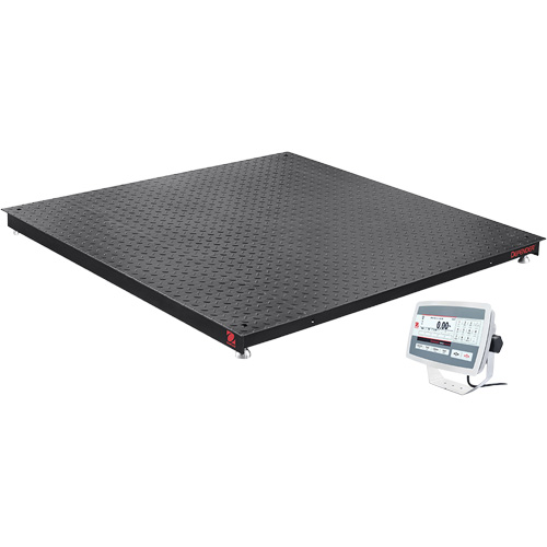 Balance de plancher DEFENDER 5000, Capacit&eacute; de 5000 lb, 48" la x 48" lo NTL Industrial