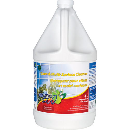 Glass & Multi-Surface Cleaners, 4 L, Jug NTL Industrial