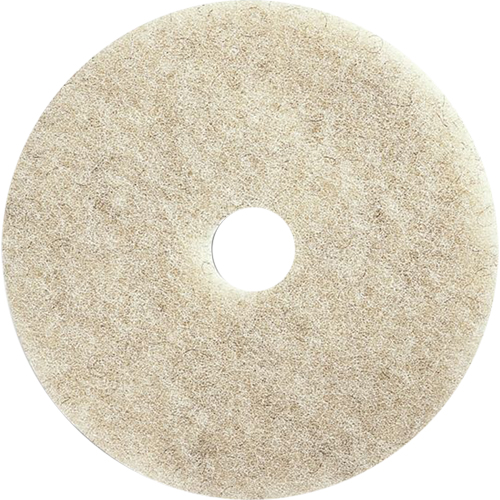 Tampons pour l'entretien des planchers, 21", Brunissage, Brun NTL Industrial