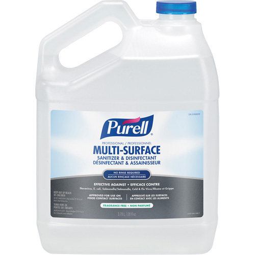 Professional Multi-Surface Sanitizer & Disinfectant, 3.78 L, Jug NTL Industrial