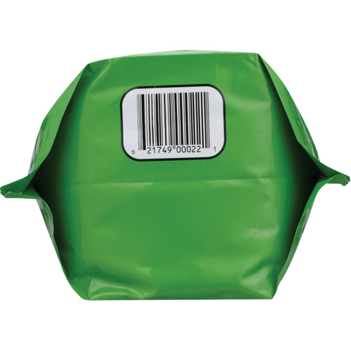 Nettoyant pour les mains biod&eacute;gradable, Poudre, 4,5 lb, Pochette, Sans parfum NTL Industrial