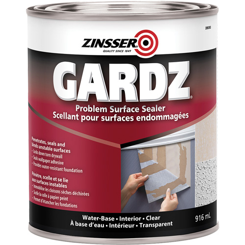 Gardz&reg; Problem Surface Sealer, 3.61 L, Can, Clear NTL Industrial