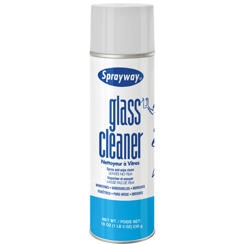 Glass Cleaner, 20 oz., Aerosol Can NTL Industrial