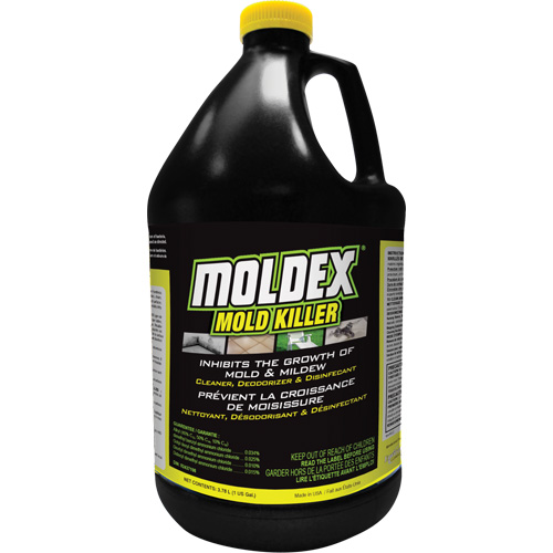 D&eacute;sinfectant contre les moisissures Moldex, 3,78 L, Cruche NTL Industrial