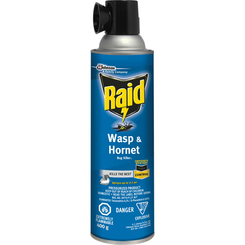 Insecticide contre les gu&ecirc;pes et les frelons Raid, 400 g, &agrave; base de solvant NTL Industrial